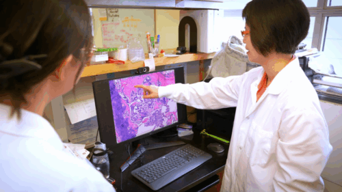 Professor Nancy Du in her lab