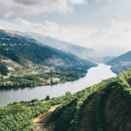 Portugal's Enchanting Douro River Valley