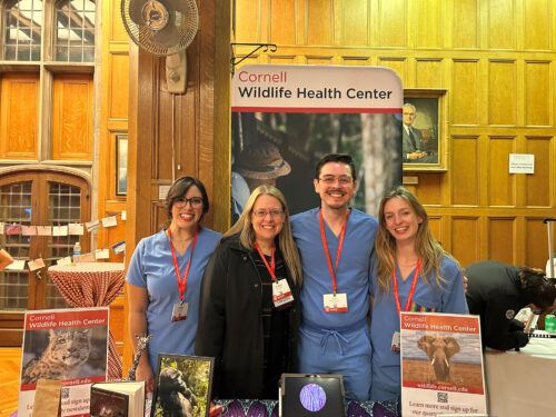 A'ndrea with Vet students from Cornell Wildlife Health Center (TCAM 2023)