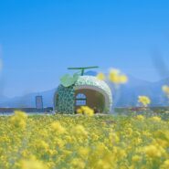 bus stop in Nagasaki, Japan