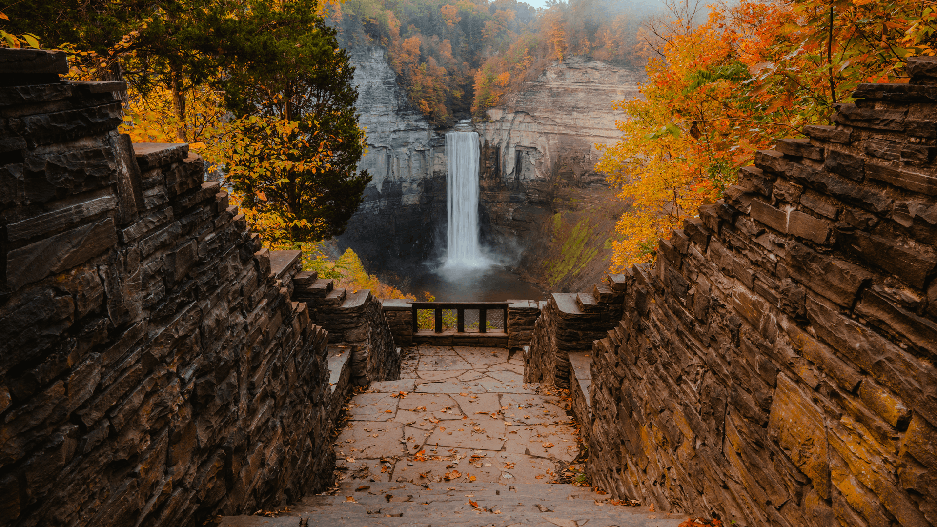 Choose your favorite campus or Ithaca-area hike: