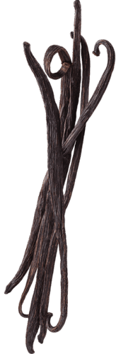 stack of vanilla beans