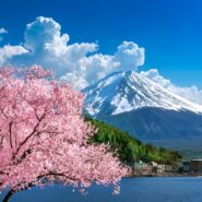 Japan by sea