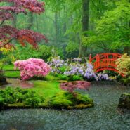 Zen garden