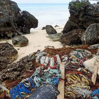 The south shore of Bermuda has many rocky outcroppings which trap plastics, ropes, and other debris.