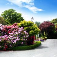 Christchurch botanical garden
