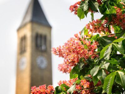 McGraw Tower in the springtime.