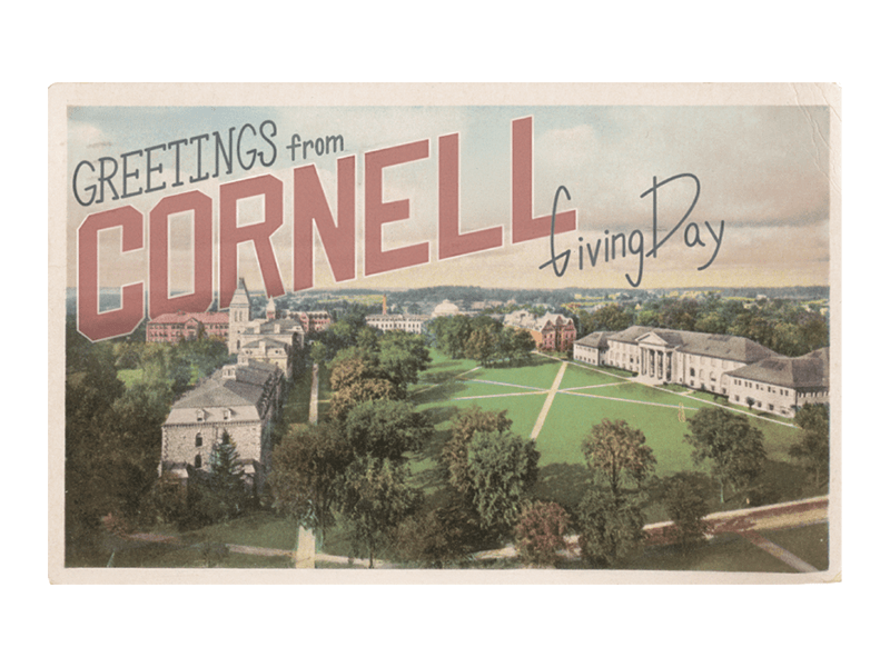 What’s your park souvenir of choice?