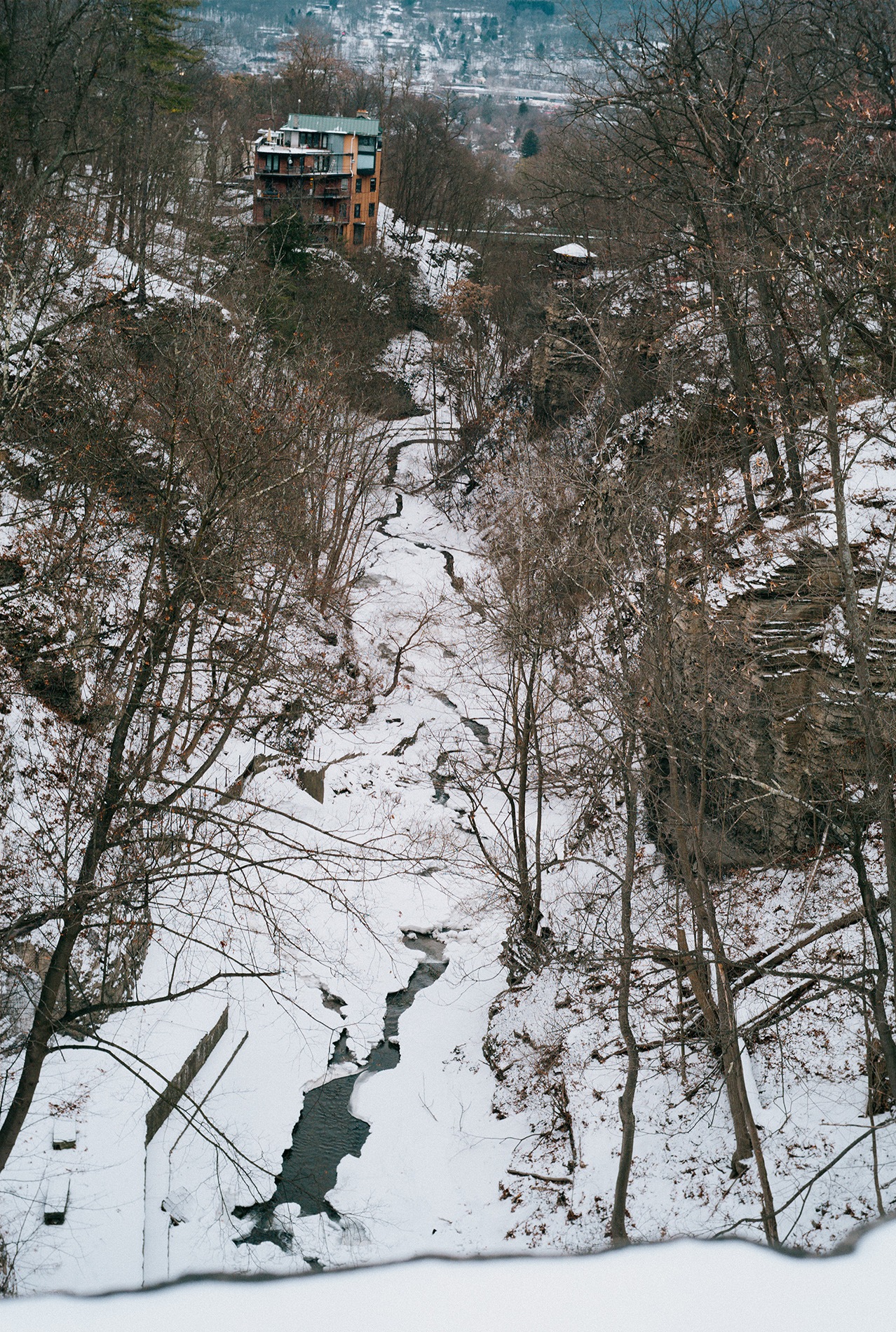 Overlooking a snow-covered Cascadilla Gorge