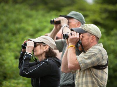 Charles Eldermire, Public Education Outreach Associate at the Laboratory of Ornithology, leads a Bird Walk tour through Cornell Plantations.