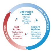 Career Development wheel