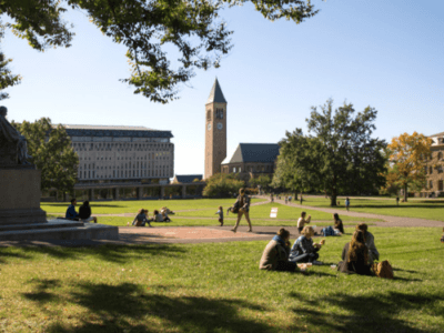 The Arts Quad on a sunny summer day