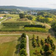 Dilmun Hill farm, with Cornell Orchards in the distance