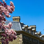 A sunny spring day outside McGraw Hall