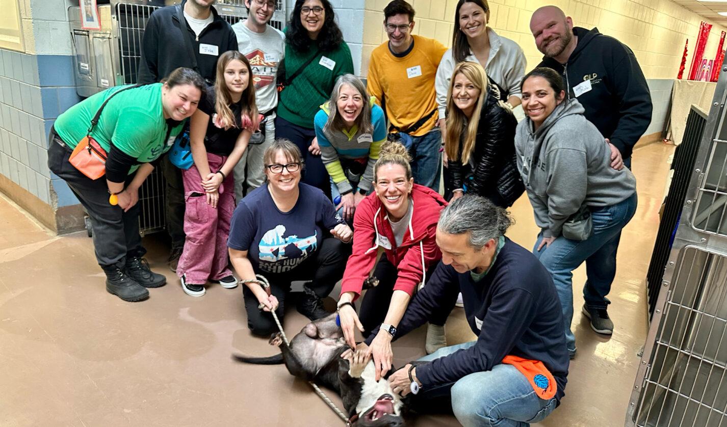 Cornell Cares program in Chicago
