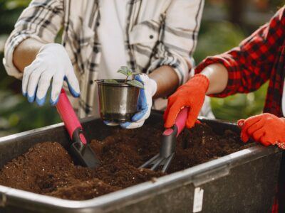 Individuals gardening outdoors using a trowel and rake with a potted plant.