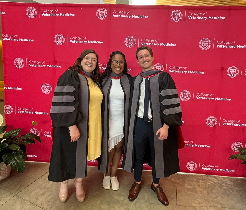 RED Veterinary Scholars celebrate completion of their veterinary degrees at the 2024 Hooding Ceremony (The ceremonial hood communicates the school, degree, and field of study. DVM degrees are always grey, no matter the school, and they have three stripes on the sleeves.) (L to R) Kelsey Warner DVM ’24, Alayzha Turner-Rodgers DVM ’24 and Alan Coberg DVM ’24