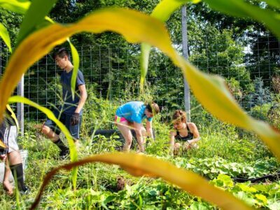 Students in the Pre-Orientation Service Trips (POST) program volunteer by pulling weeds in the garden at Cayuga Nature Center.