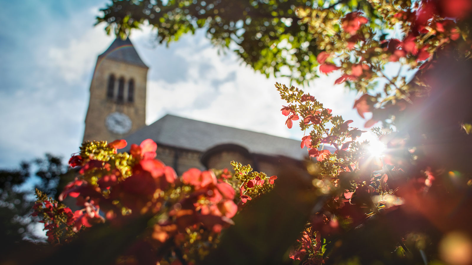 November December 2021 Cornellians Cornell University